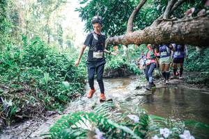 BIB: 
                            <button type="button" onclick="openModal(25464512)" class="btn btn-primary btn-sm float-right btn-popup" data-toggle="modal" data-target=".modal-high-quality">
                        <i class="fas fa-shopping-cart"></i> Add to Cart
                    </button>
                                            <button type="button" onclick="isThisMe(25464512, true)" class="btn btn-success btn-sm float-right btn-popup btn-isme hidden" data-toggle="tooltip" data-placement="bottom" title="นี่คือรูปของคุณใช่ไหม คลิกที่นี่เพื่อเอาเข้าอัลบั้ม">
                        <i class="fas fa-plus"></i> Add to album
                    </button>
                    <button type="button" onclick="isThisMe(25464512, false)" class="btn btn-warning btn-sm float-right btn-popup btn-isnotme hidden">
                        <i class="fas fa-ban"></i> Remove from album
                    </button>